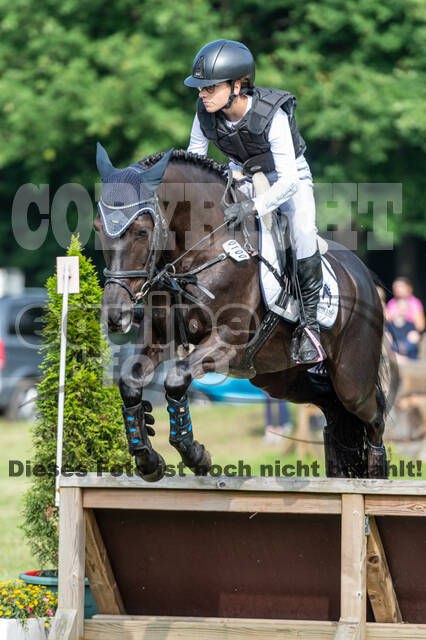 Goldene Schärpe 2021 - Ponys