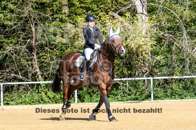 RFV Dinslaken-Hiesfeld (Herbstturnier)
