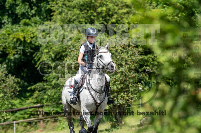 Goldene Schärpe 2021 - Ponys