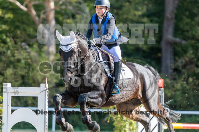 RFV Dinslaken-Hiesfeld (Herbstturnier)
