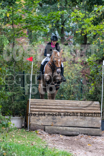 Goldene Schärpe 2020 - Pferde