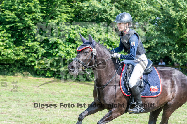 Goldene Schärpe 2021 - Ponys