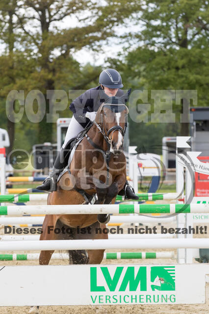 Sterne über Münster 2019 - CCI***S