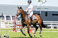 Kronenberg - De Peelbergen (August 2020)