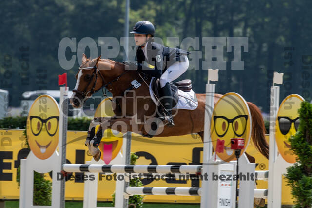 Goldene Schärpe 2021 - Ponys