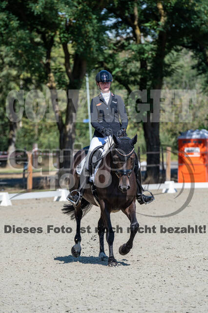 Kronenberg - De Peelbergen (August 2020)