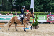 Goldene Schärpe 2021 - Ponys