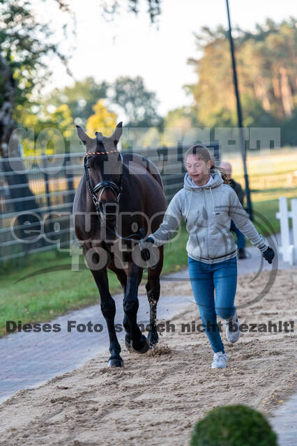 Deutsche Meisterschaft Vielseitigkeit (Luhmühlen)