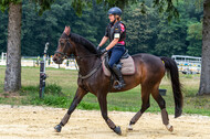 Hunter Geländetraining 10.07.2021 (Sonsbeck)