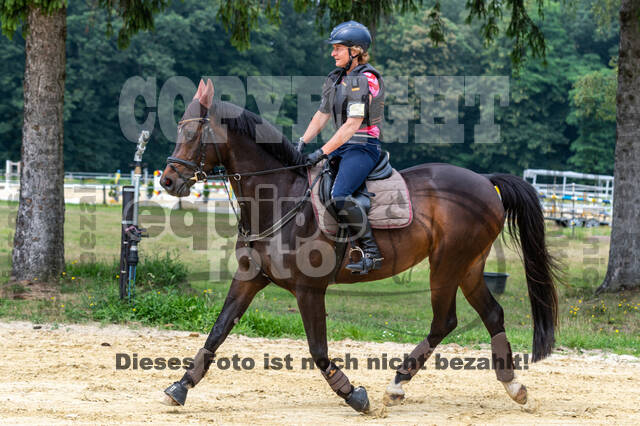 Hunter Geländetraining 10.07.2021 (Sonsbeck)