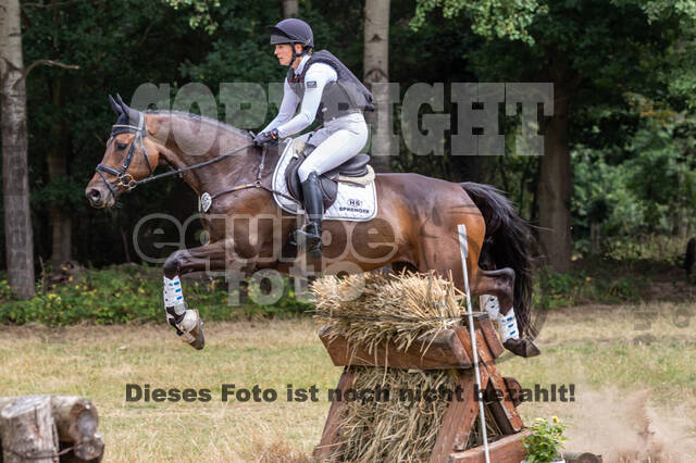 Late-Entry Vielseitigkeit Hamminkeln/Wesel (01.+02.08.2020)