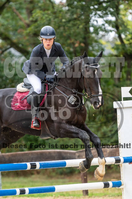 Vielseitigkeit RSV Wesel Obrighoven (26.+27.09.2020)