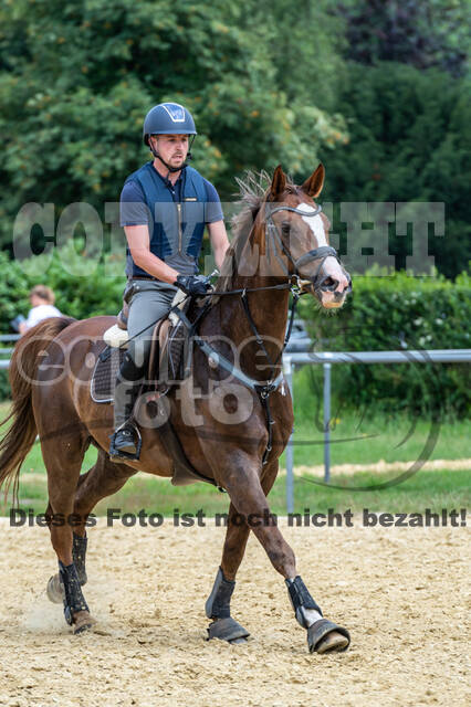 Hunter Geländetraining 10.07.2021 (Sonsbeck)