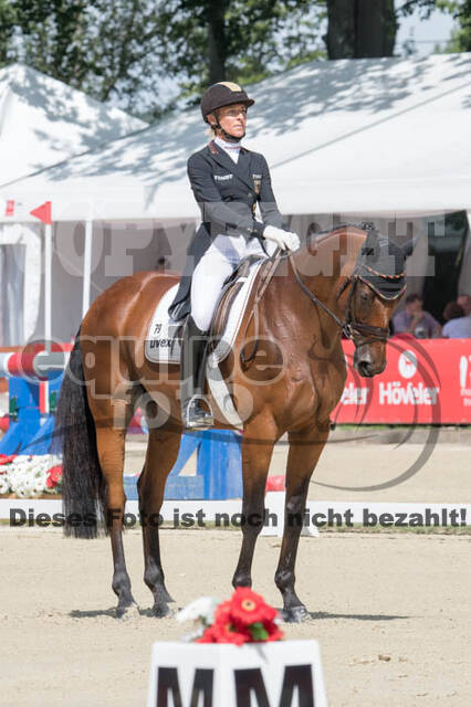 FEI European Championship Eventing 2017