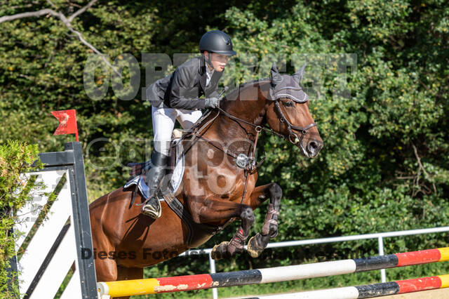RFV Dinslaken-Hiesfeld (Herbstturnier)