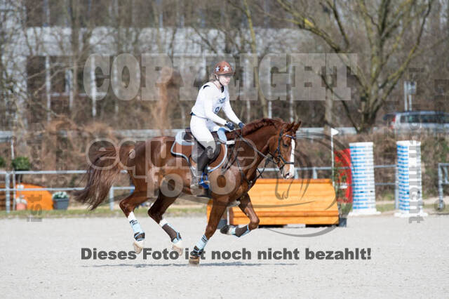 Eventing Langenfeld 2018