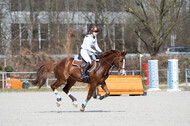 Eventing Langenfeld 2018