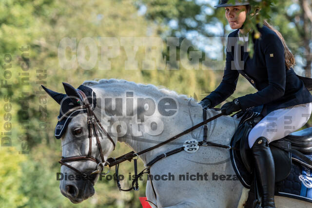 RFV Dinslaken-Hiesfeld (Herbstturnier)