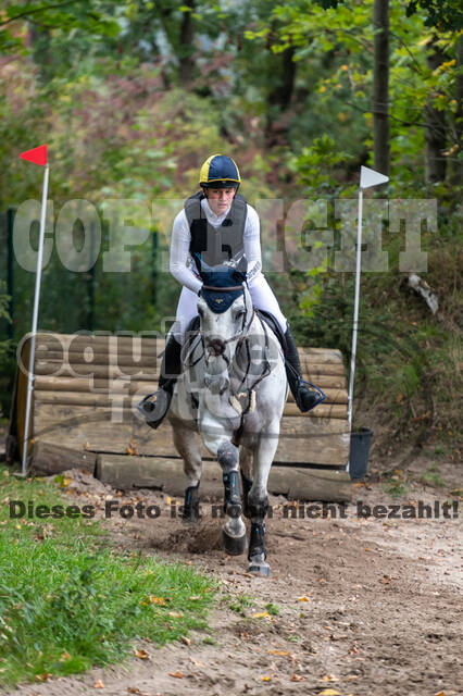 Goldene Schärpe 2020 - Pferde