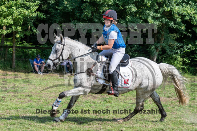 Goldene Schärpe 2021 - Ponys