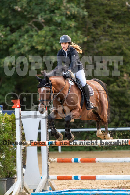 RFV Dinslaken-Hiesfeld (Herbstturnier)