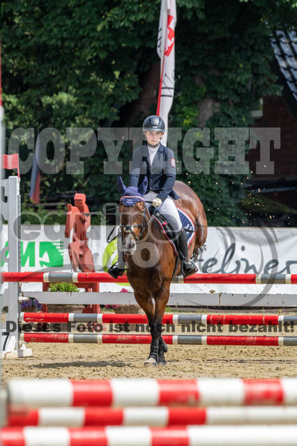 Goldene Schärpe 2021 - Ponys