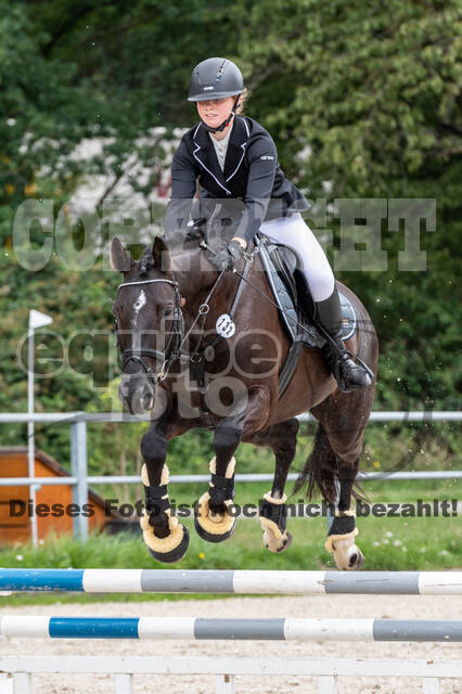 Late-Entry-Vielseitigkeit Langenfeld (06.+07.07.2020)