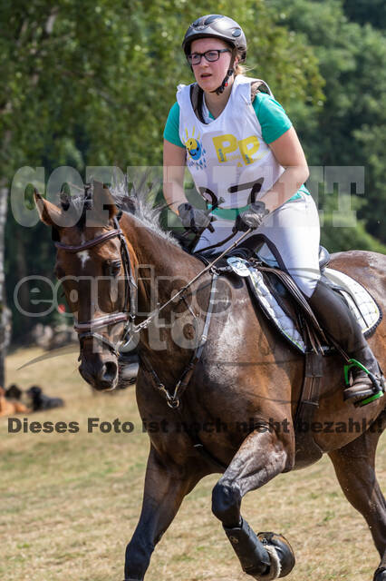 Late-Entry Vielseitigkeit Hamminkeln/Wesel (01.+02.08.2020)