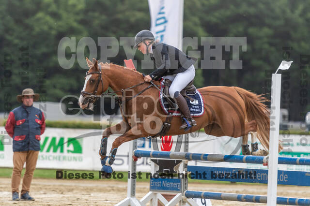 Goldene Schärpe 2021 - Ponys