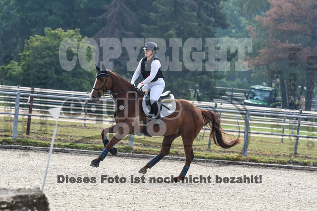 Late-Entry-Vielseitigkeit Langenfeld (11.+13./14.06.2020)