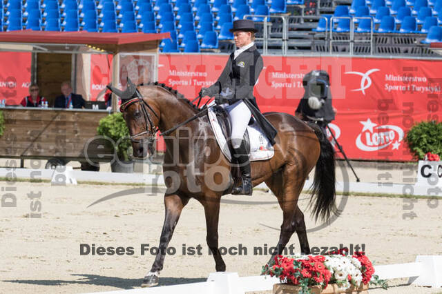 FEI European Championship Eventing 2017