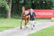 FEI European Championship Eventing 2017