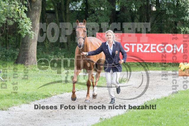 FEI European Championship Eventing 2017