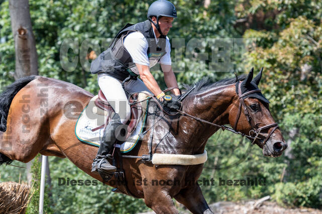 De Peelbergen (August 2020)