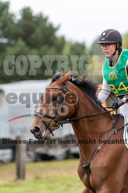 Vielseitigkeit RSV Wesel Obrighoven (26.+27.09.2020)