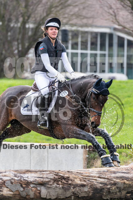 Goldene Schärpe 2020 - Pferde