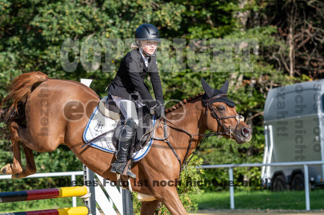 RFV Dinslaken-Hiesfeld (Herbstturnier)
