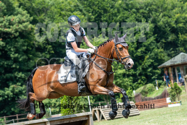 Goldene Schärpe 2021 - Ponys