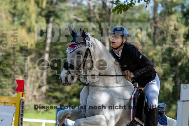 RFV Dinslaken-Hiesfeld (Herbstturnier)