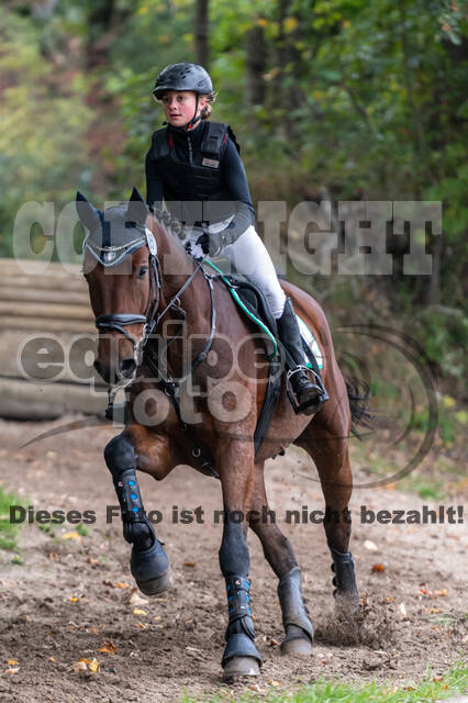 Goldene Schärpe 2020 - Pferde