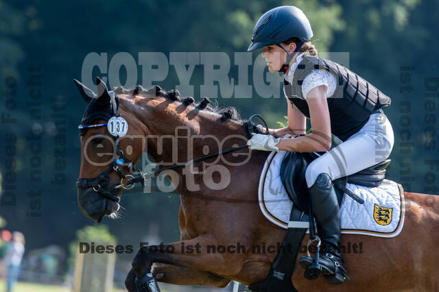 Goldene Schärpe 2021 - Ponys