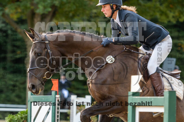 RFV Dinslaken-Hiesfeld (Herbstturnier)