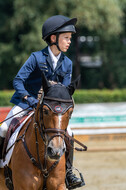 Goldene Schärpe 2021 - Ponys