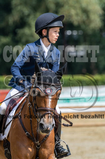 Goldene Schärpe 2021 - Ponys