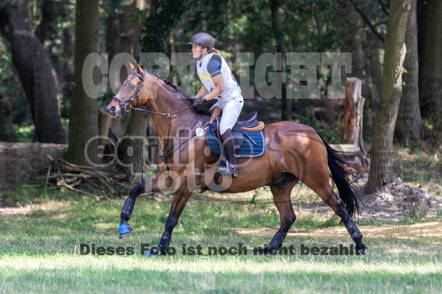 Late-Entry Vielseitigkeit Hamminkeln/Wesel (01.+02.08.2020)