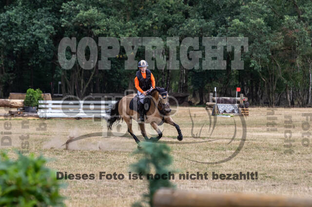 Late-Entry Vielseitigkeit Hamminkeln/Wesel (01.+02.08.2020)