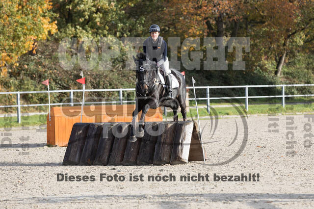 IGV Lehrgang der Sieger der Cups mit Frank Ostholt