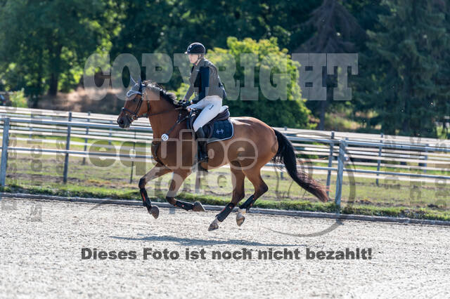 Late-Entry-Vielseitigkeit Langenfeld (11.+13./14.06.2020)