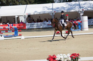 FEI European Championship Eventing 2017