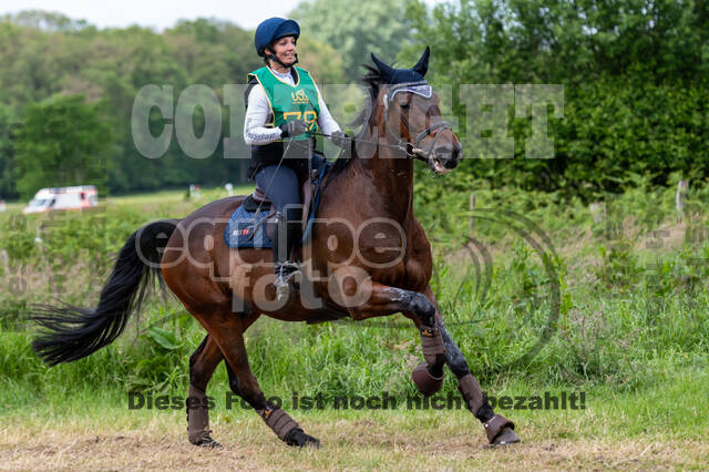 Westerstede Horse Trials (10.-13.06.2021)